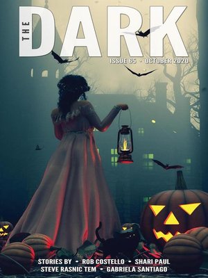 cover image of The Dark Issue 65